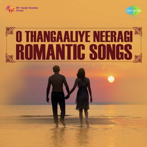 Krishnaswamy Ramaswamy (From Kiladi Jodi) - Various Artists