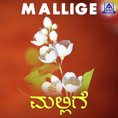 Amma Naanu - Various Artists