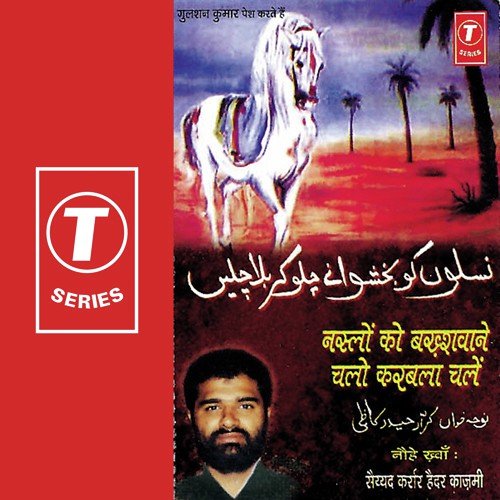 Ya Rab Koi Mil Jaaye Na Pehchanne Wala - Haider Kazmi, Sayed Karar