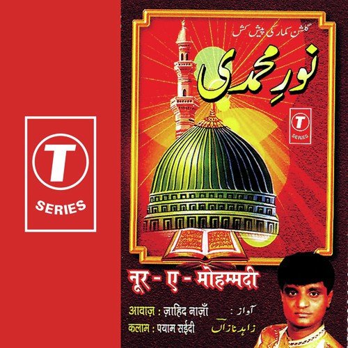 Hum Par To Unhi Ka Saya Hai - Jahid Naza, Jaani Babu