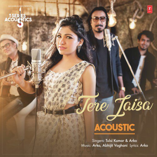 Tere Jaisa Acoustic - Hamza Malik