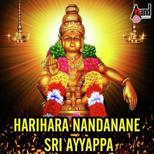 Jaya Jaya Jaya Ayaappa - Various Artists