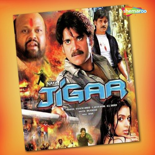 Dil Pal Pal Kohya - Shiva