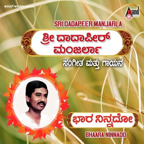Bhara Ninnado - Dadapeer Manjarla