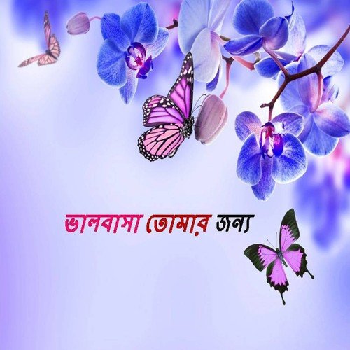 O Bashi - Various Artists