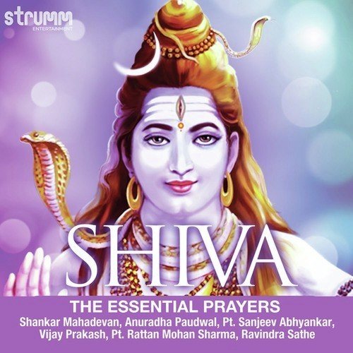 Om Namah Shivay - Gurudev Sri Sri Ravi Shankar