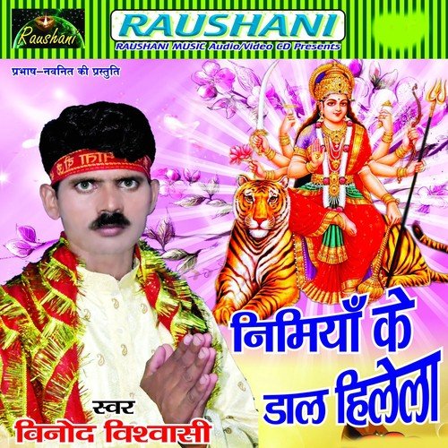 Jhula Jhuleli Jab Maiya Ji Hamar - Binod Vishwashi