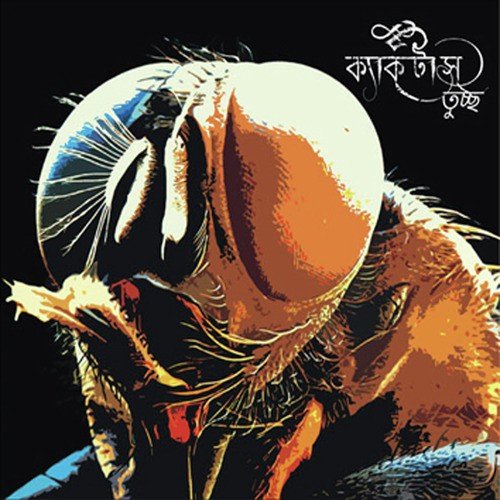 Pakkhhiraaj - Cactus