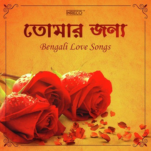 Bristi Din - Various Artists