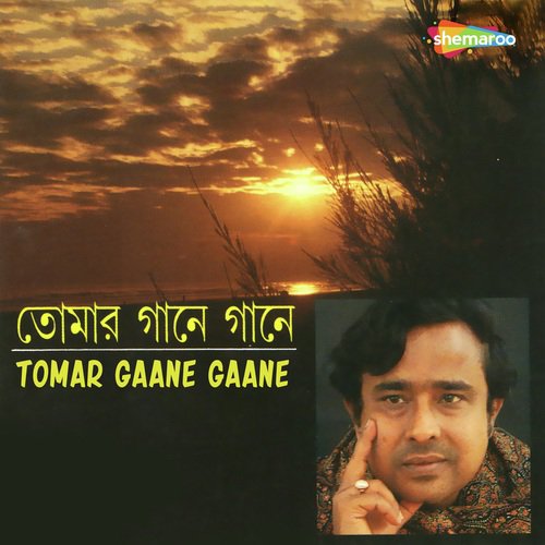Nilambori Shari Pori - Anup Ghoshal