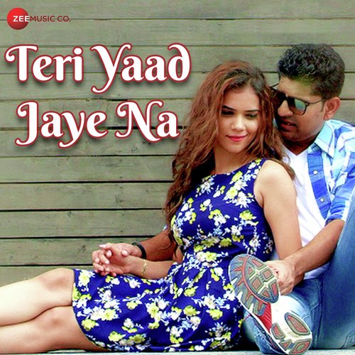 Teri Yaad Jaye Na - Mohit Manuja