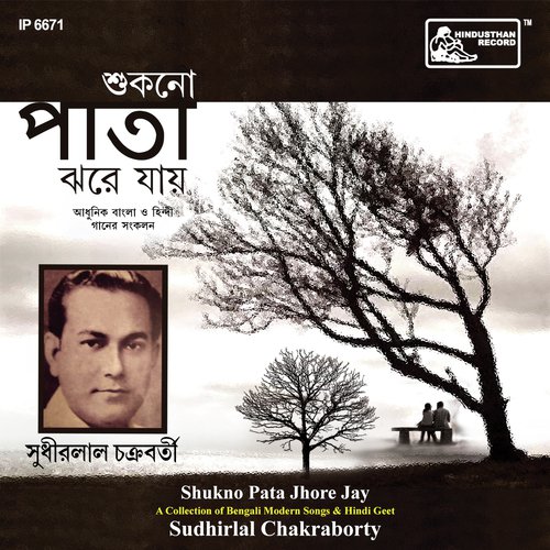 Aami To Tomar Keho Noi - Sudhirlal Chakraborty, Sudhirlal Chakraborty