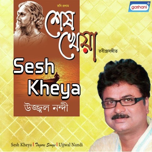 Amar Sakol Raser Dhara - Ujjwal Nandi