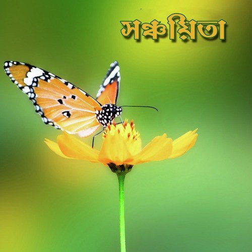 Maronmilon - Various Artists