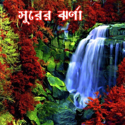 Sei Sur Bhulbo - Various Artists