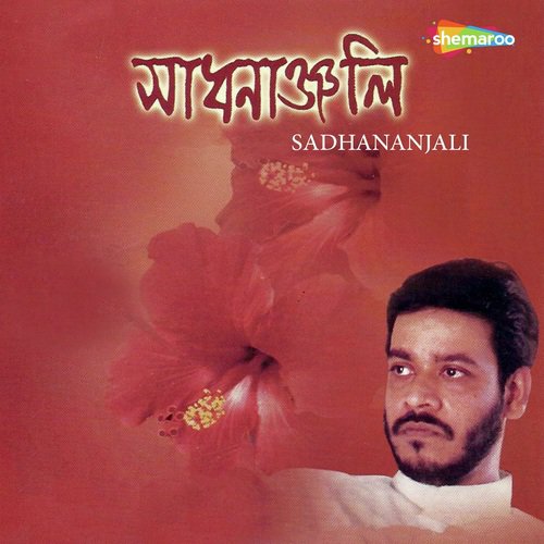 Ami Go Tomaari - Srikanta Acharyya