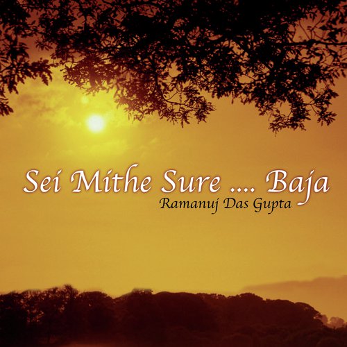 Tomar Sathe Holo Amar (Album Version) - Ramanuj Das Gupta