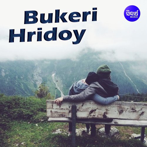 Bukeri Hridoyke Churi Kore Niyechho - Sayam Paul