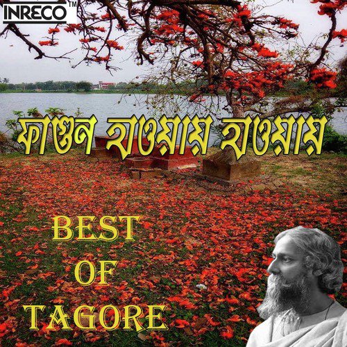 Phagun Haoway Haoway - Various Artists