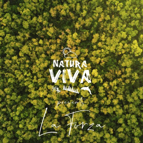Fobia - Various Artists