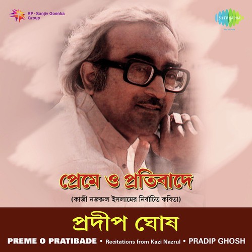 Amra Sei Se Jati - Niladri Sekhar Bose