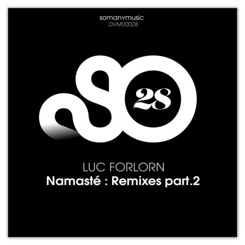 Namast (Rm-Rm Remix By Ricochet) - Luc Forlorn