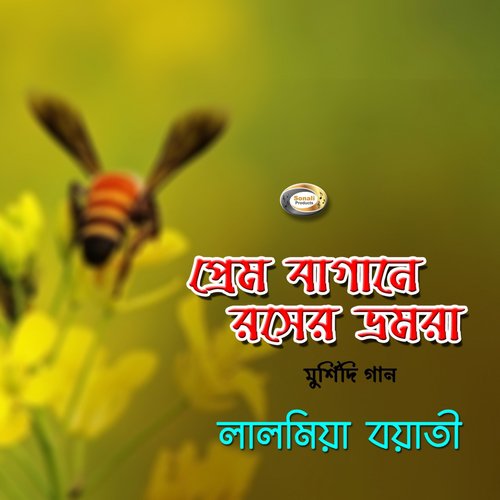Bohudin Hoyeche Tomar - Lal Miya