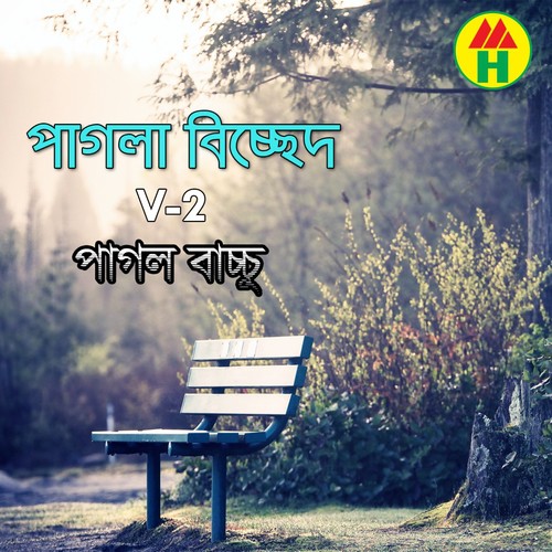 Are Shona Bondhe - Pagol Bacchu
