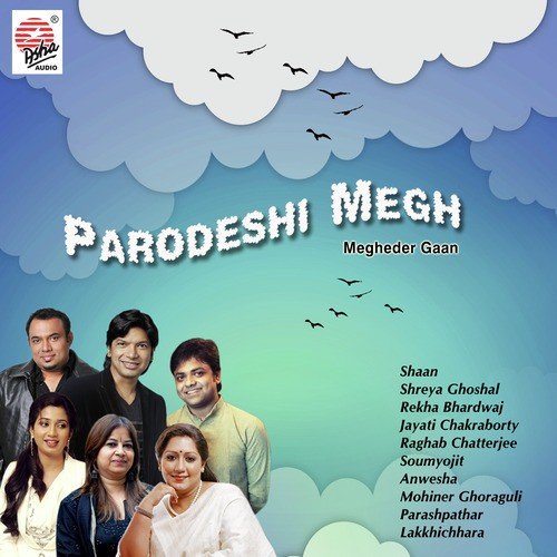 Aakashe Chharano Megher Kachakachi - Various Artists