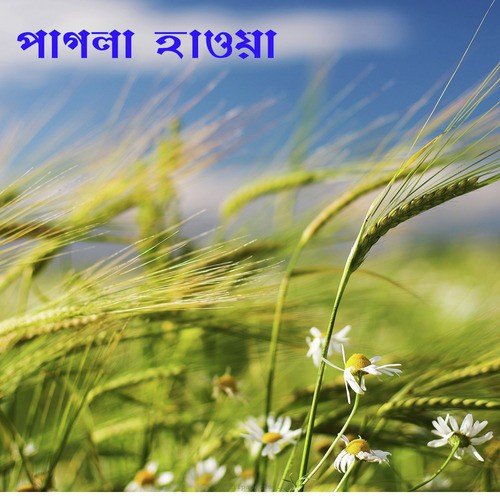Ghum Peyechhe Bari Ja - Various Artists