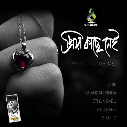 Sukher Prithibi - Various Artists