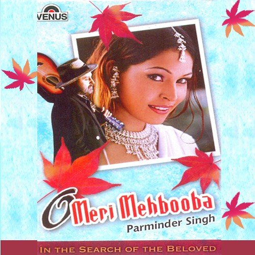 Ek Deewani Ladki - Parminder Singh, Ashok Raj