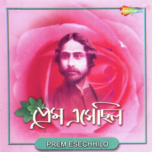 Bujhi Elo Bujhi Elo - Srikanta Acharyya