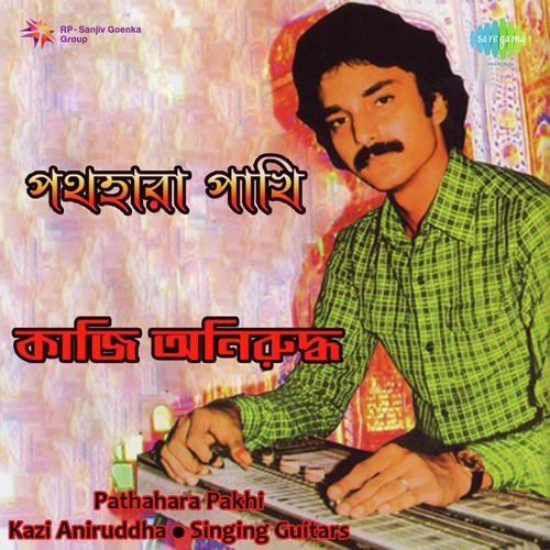 Dur Dwipbasini   Instrumental - Kazi Aniruddha