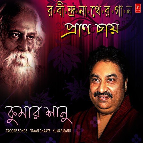 Tumi Robe Nirabe - Kumar Sanu