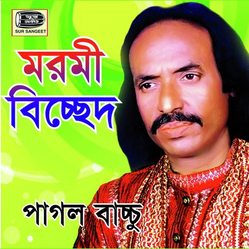 Ami Bandhu Nara Pagolini - Pagol Bacchu