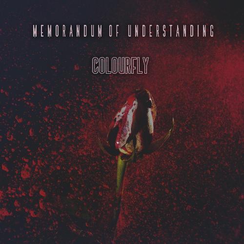 Memorandum Of Understanding   Colourfly - Mou Sultana