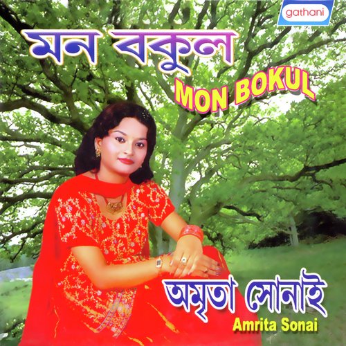 Ki Bole Sravan - Amrita Sonai