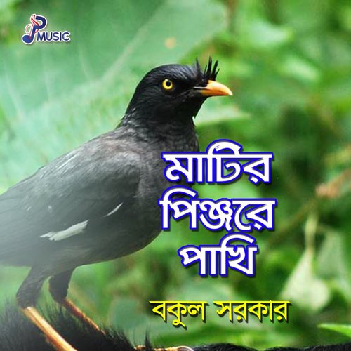 Ki Sundor Banaise - Bakul Sarkar