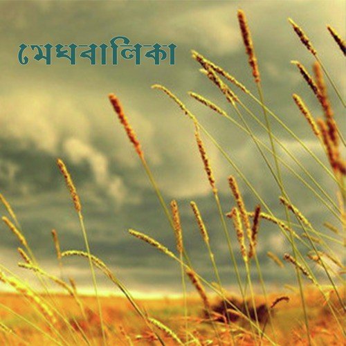 Antartamo - Various Artists