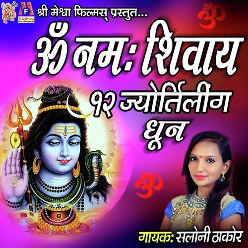 Om Namah Shivay Dhun - Saloni Thakor