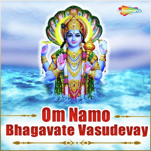 Om Namo Bhagavate Vasudevay - Chintak Trivedi
