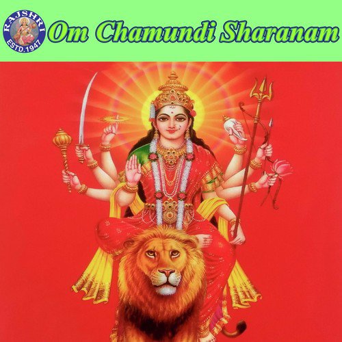 Durga Chalisa - Various Artists