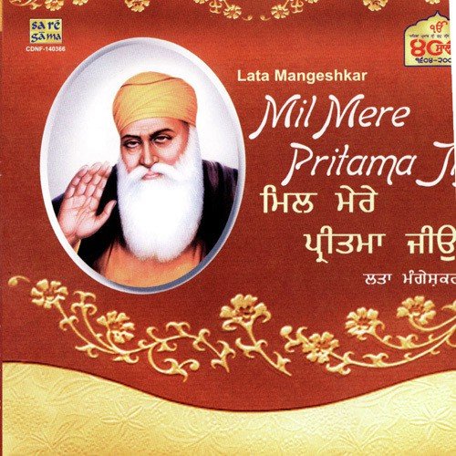 Jap Man Satnaam - Various Artists