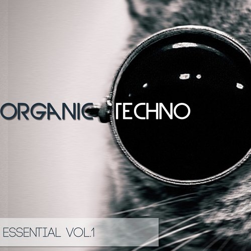 Testlauf (Alex Kork Remix) - Various Artists