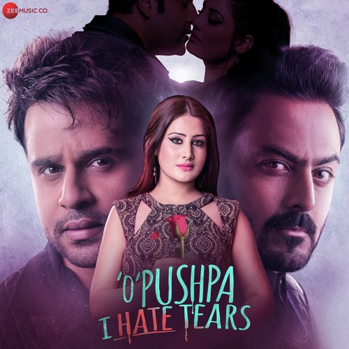 Tu Hai Teri Aashiqui - Ramji Gulati