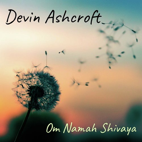 Om Namah Shivaya (5 Minute Meditation) - Devin Ashcroft