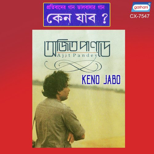 Mayer Anchaler Mato - Ajit Pandey