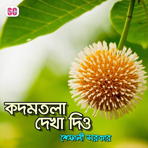 Ami Shajibo - Shefali Sarker