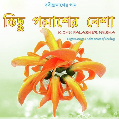 Nibir Oma Timiro - Various Artists